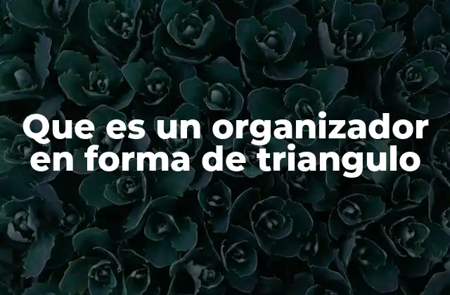 Que es un Organizador en Forma de Triangulo