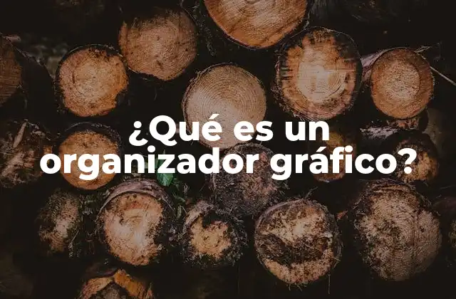 ¿qué es un Organizador Gráfico?