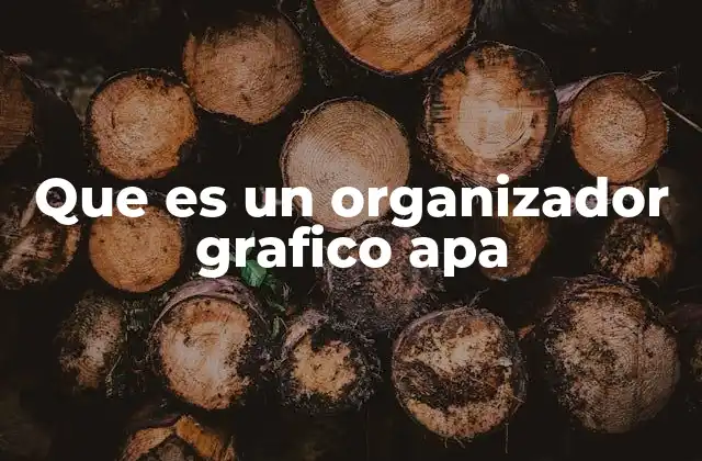 Que es un Organizador Grafico Apa