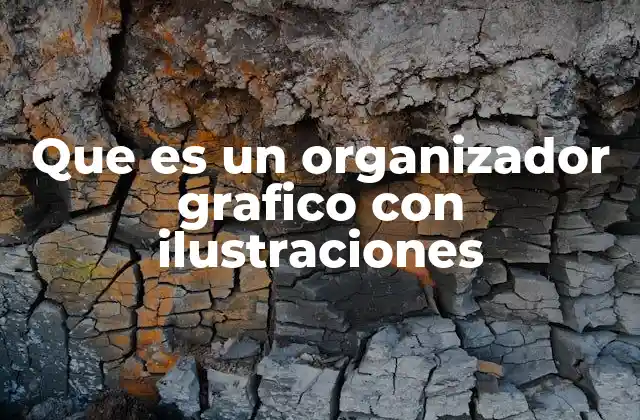 Que es un Organizador Grafico con Ilustraciones