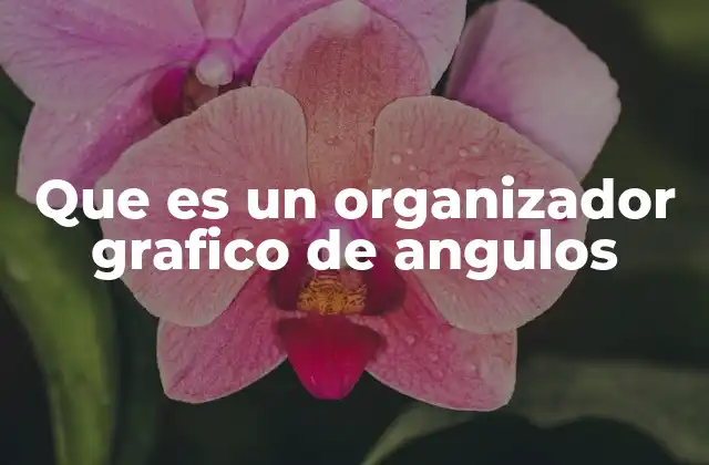 Que es un Organizador Grafico de Angulos