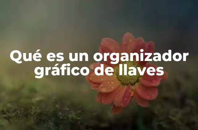 Qué es un Organizador Gráfico de Llaves