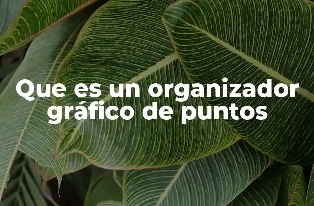 Que es un Organizador Gráfico de Puntos