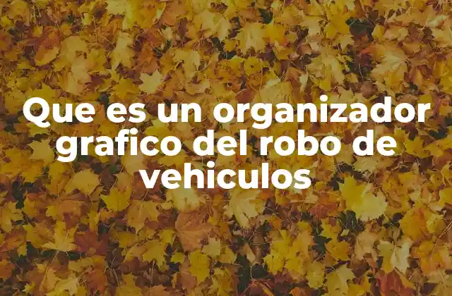 La importancia de la visualización en la lucha contra el robo de vehículos