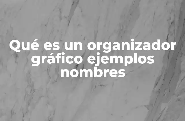 Qué es un Organizador Gráfico Ejemplos Nombres