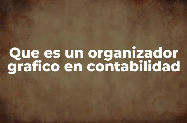Que es un Organizador Grafico en Contabilidad
