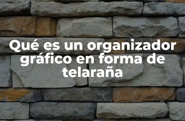Qué es un Organizador Gráfico en Forma de Telaraña