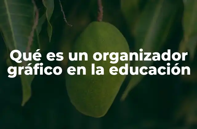 Qué es un Organizador Gráfico en la Educación