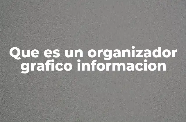 Que es un Organizador Grafico Informacion
