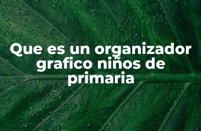 La importancia de los organizadores gráficos en la educación primaria