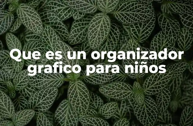 Que es un Organizador Grafico para Niños