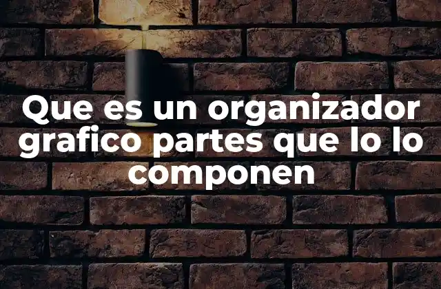 Que es un Organizador Grafico Partes que Lo Lo Componen