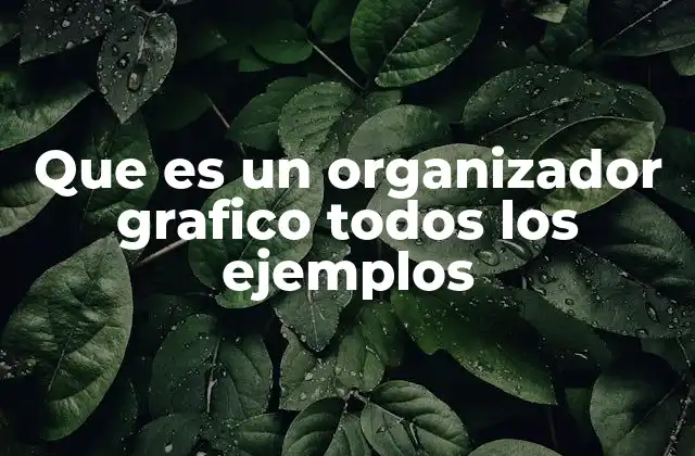 Que es un Organizador Grafico Todos los Ejemplos