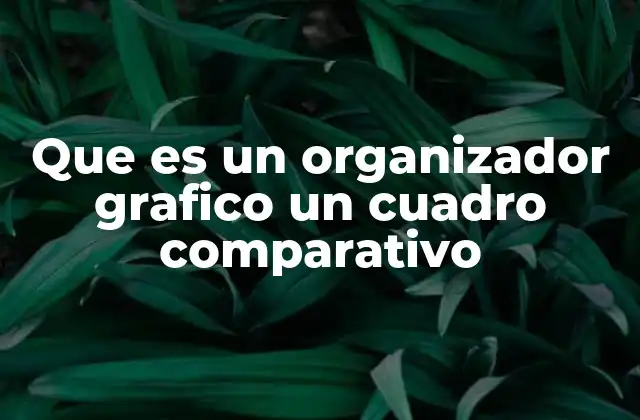 Que es un Organizador Grafico un Cuadro Comparativo