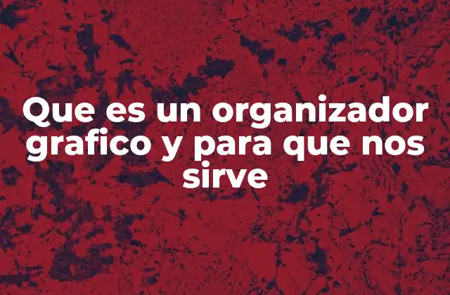 Que es un Organizador Grafico y para que Nos Sirve