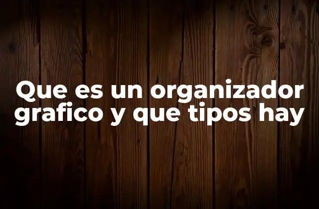 Que es un Organizador Grafico y que Tipos Hay