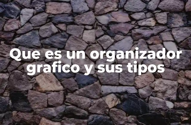 Que es un Organizador Grafico y Sus Tipos