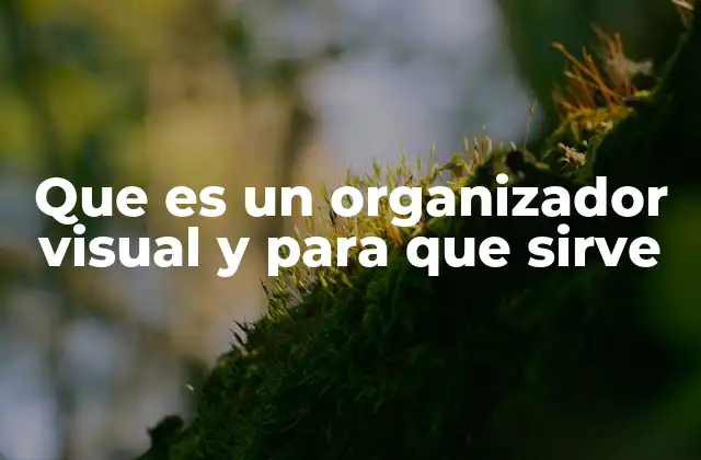 Que es un Organizador Visual y para que Sirve