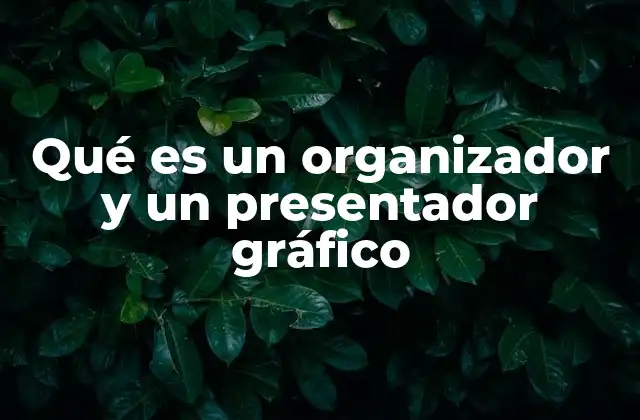 Qué es un Organizador y un Presentador Gráfico