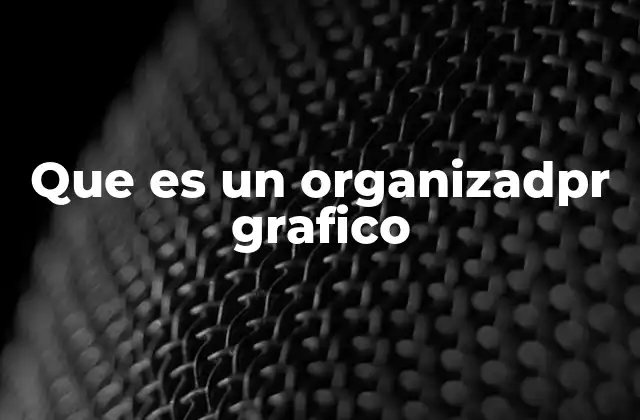 Que es un Organizadpr Grafico