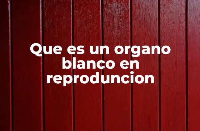 Que es un Organo Blanco en Reproduncion