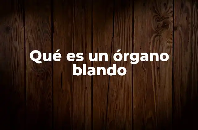 Qué es un Órgano Blando