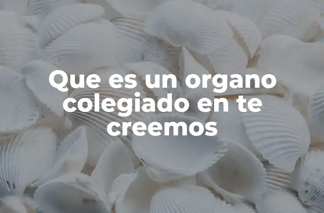 Que es un Organo Colegiado en Te Creemos