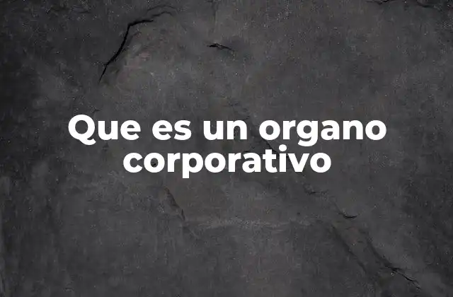Que es un Organo Corporativo