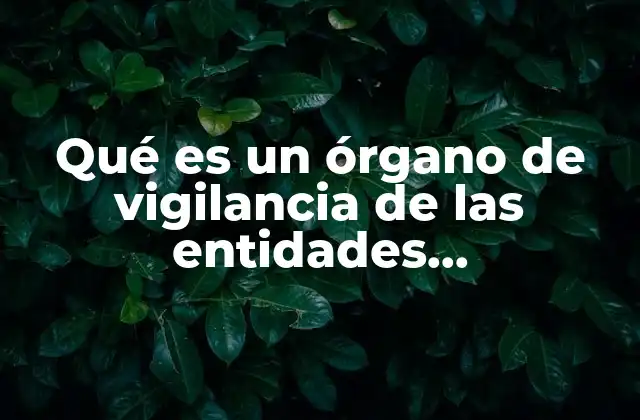 Qué es un Órgano de Vigilancia de las Entidades Paraestatales