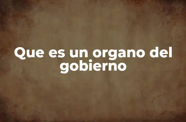 Que es un Organo Del Gobierno