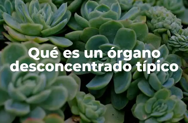 Qué es un Órgano Desconcentrado Típico