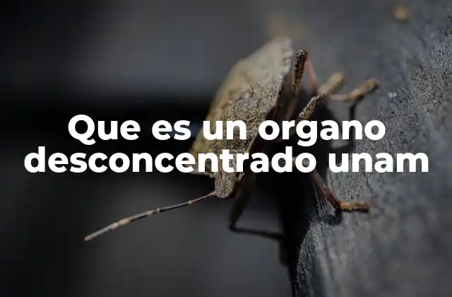 Que es un Organo Desconcentrado Unam