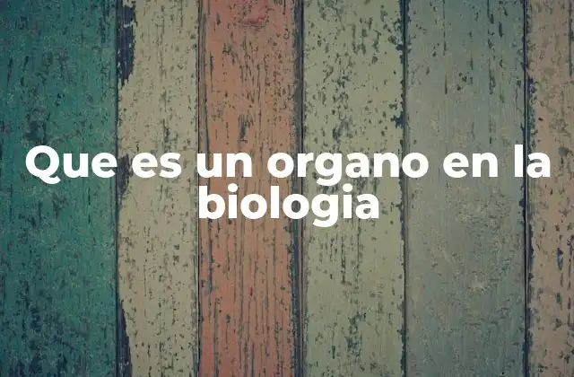 Que es un Organo en la Biologia