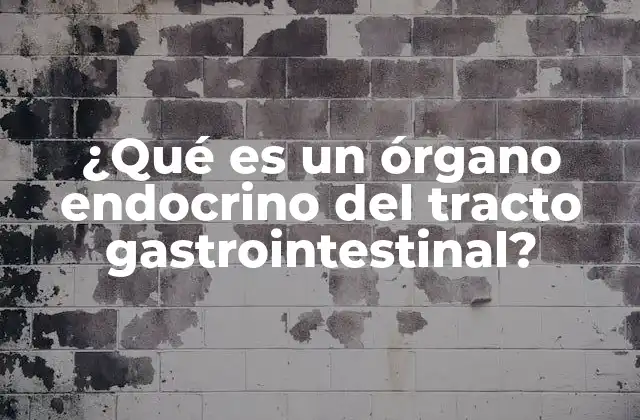 ¿qué es un Órgano Endocrino Del Tracto Gastrointestinal? 2 La conexión entre el sistema digestivo y el sistema endocrino