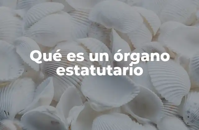 Qué es un Órgano Estatutario