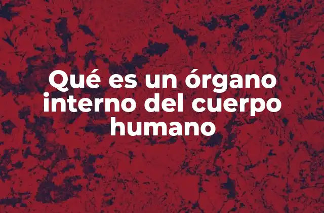 Qué es un Órgano Interno Del Cuerpo Humano