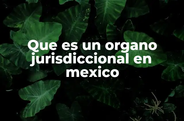 Que es un Organo Jurisdiccional en Mexico