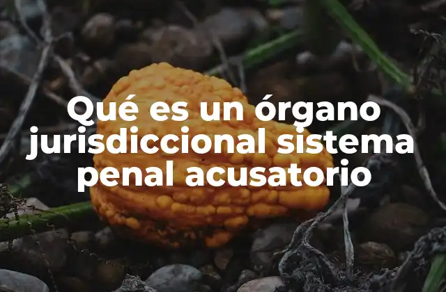Qué es un Órgano Jurisdiccional Sistema Penal Acusatorio
