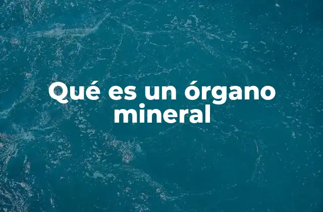 Qué es un Órgano Mineral