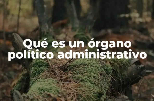 Qué es un Órgano Político Administrativo