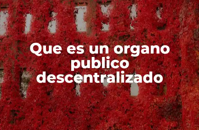 Que es un Organo Publico Descentralizado
