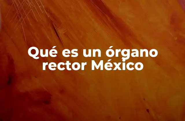 Qué es un Órgano Rector México 2 El papel de los órganos rectores en la organización pública