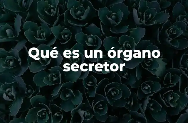 Qué es un Órgano Secretor 2 La importancia de los órganos secretorios en el cuerpo humano