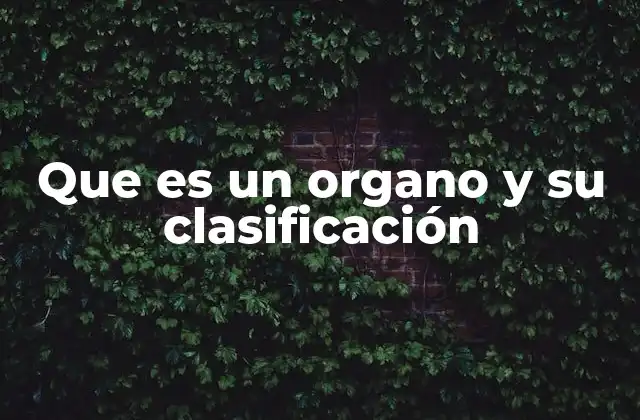 Que es un Organo y Su Clasificación