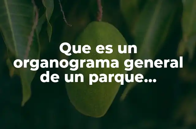 Que es un Organograma General de un Parque Ecoturistico