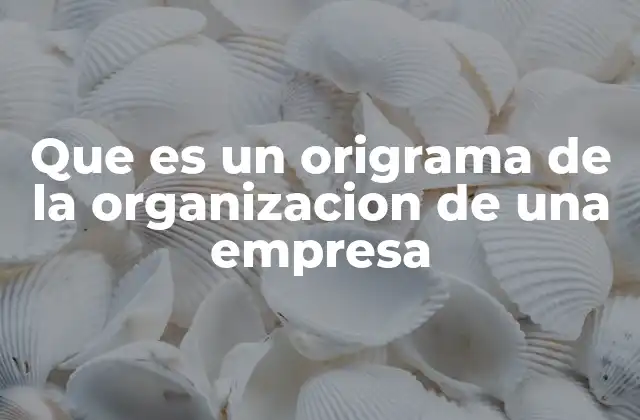 Que es un Origrama de la Organizacion de una Empresa