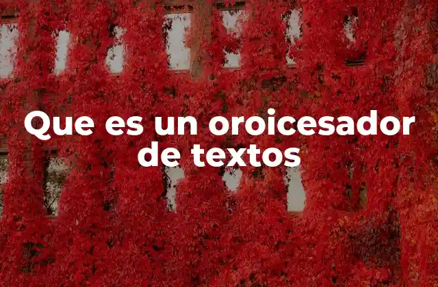 Que es un Oroicesador de Textos