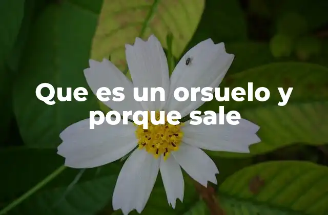 Que es un Orsuelo y Porque Sale