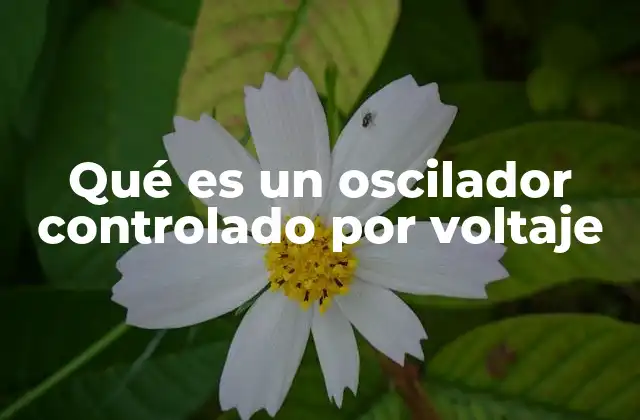 Qué es un Oscilador Controlado por Voltaje