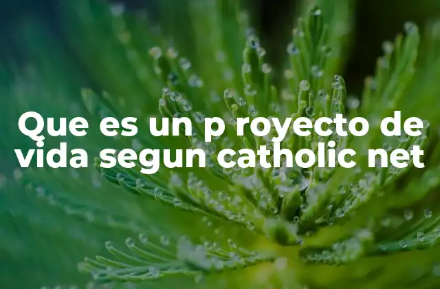 Que es un P Royecto de Vida Segun Catholic Net